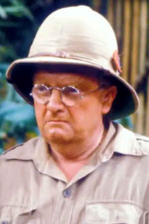 Don Estelle as Bobby Hargreaves in Not Now, Comrade