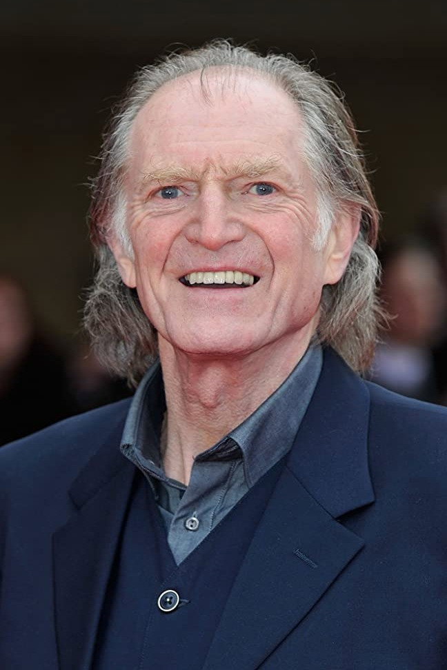 David Bradley as Arnold Springer in Reckless