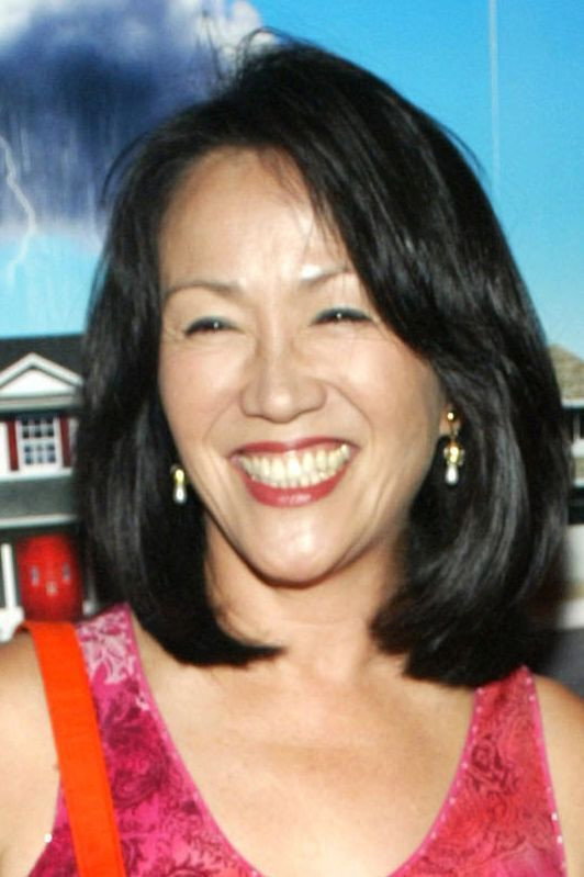 Freda Foh Shen as Grace Hill in The Company You Keep