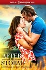 After the Storm (2019)