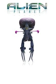 18606-thumbnail