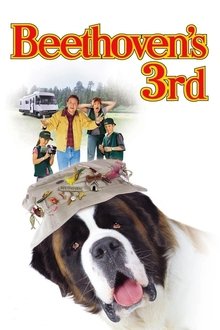 24476-thumbnail