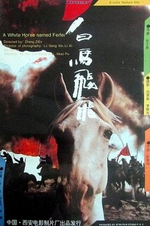 816776-thumbnail