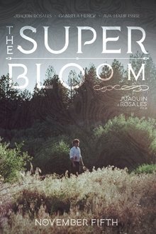 1380545-thumbnail