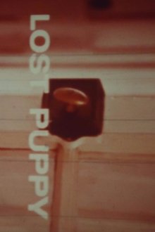 592331-thumbnail