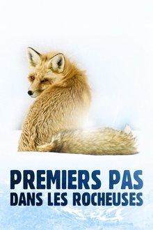 1065196-thumbnail