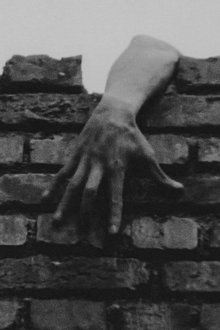 806780-thumbnail