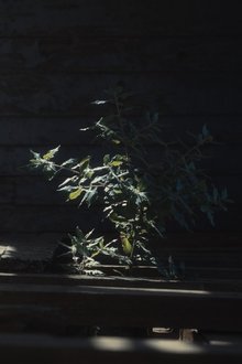 1092348-thumbnail