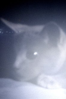 1000124-thumbnail