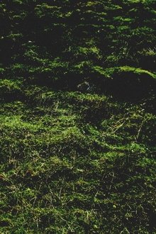 684668-thumbnail