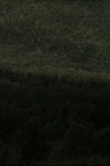 1032728-thumbnail