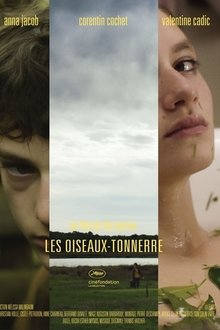 455067-thumbnail