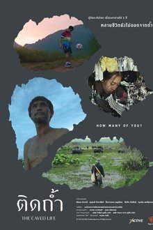 803044-thumbnail