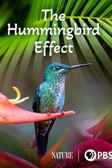 1131605-thumbnail