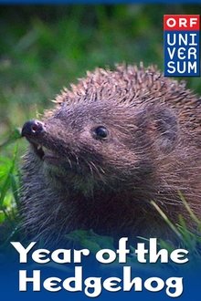 814226-thumbnail