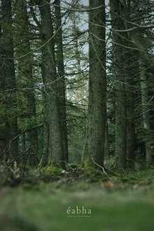 1214377-thumbnail