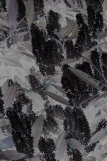 704671-thumbnail