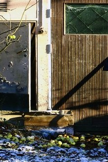 492779-thumbnail