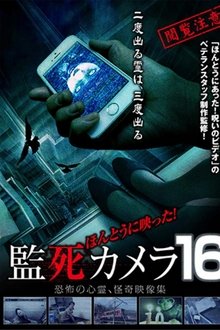 1136081-thumbnail