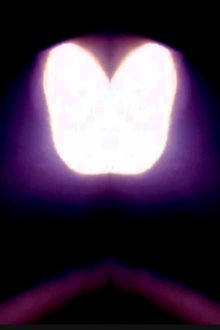 1004916-thumbnail