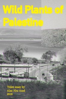 1058576-thumbnail