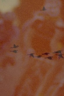 993332-thumbnail
