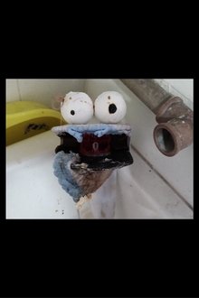 1499145-thumbnail