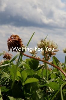 1183403-thumbnail