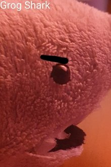 797243-thumbnail