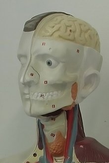 704329-thumbnail