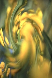 1279271-thumbnail