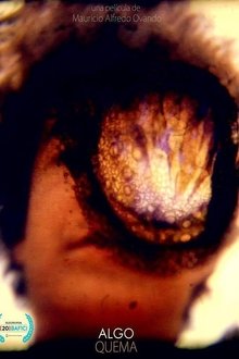 538393-thumbnail