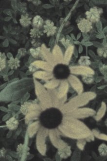 1279537-thumbnail