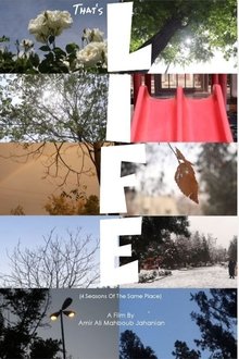 1358247-thumbnail