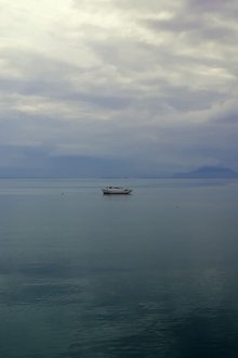 1217506-thumbnail