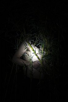 1220213-thumbnail
