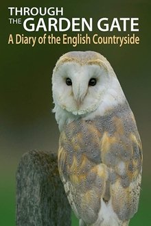 701081-thumbnail
