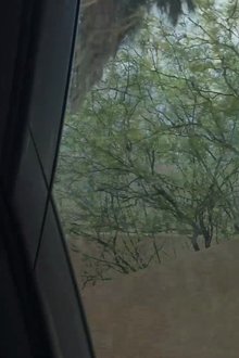 459172-thumbnail