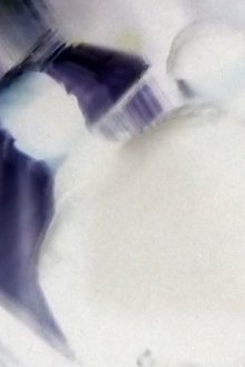 645241-thumbnail