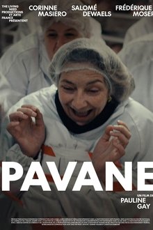 1179907-thumbnail