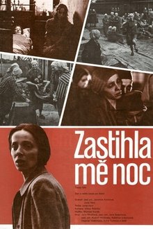 293194-thumbnail