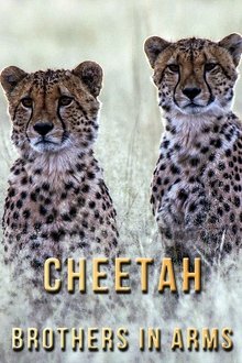 1108474-thumbnail