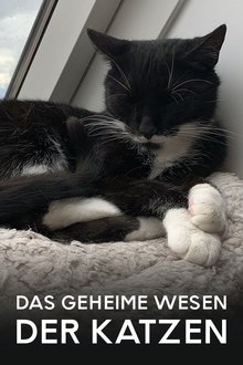 812528-thumbnail