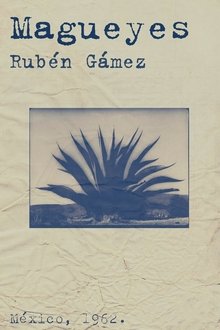 258412-thumbnail