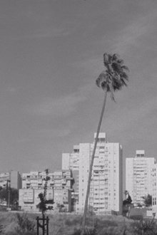 795965-thumbnail
