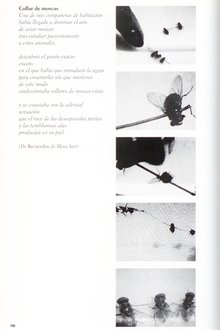 458919-thumbnail