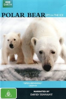 53338-thumbnail