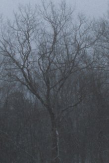 1279601-thumbnail