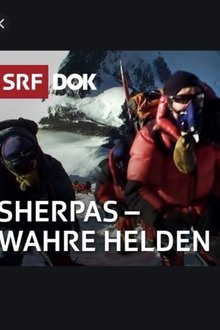 258818-thumbnail