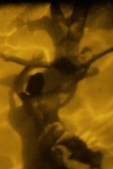 805264-thumbnail